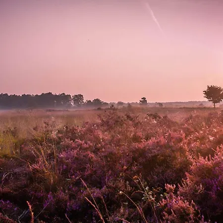 66 Persoons Veluwe Met Grillhuis * 福尔特赫伊曾