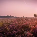 66 Persoons Veluwe Met Grillhuis * Voorthuizen